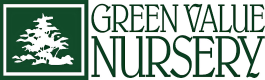 Green Value Nursery